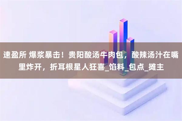 速盈所 爆浆暴击！贵阳酸汤牛肉包，酸辣汤汁在嘴里炸开，折耳根星人狂喜_馅料_包点_摊主