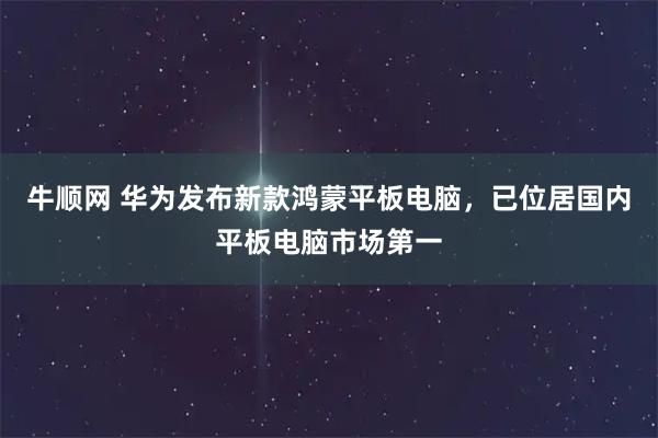 牛顺网 华为发布新款鸿蒙平板电脑，已位居国内平板电脑市场第一